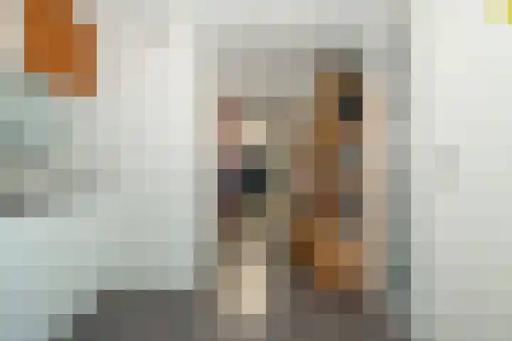 Meidoornstraat 5 Epe thumbnail 28