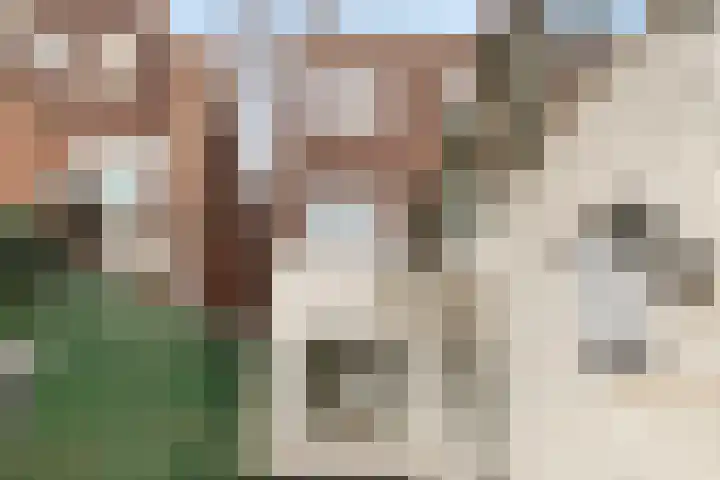 Meidoornstraat 5 's-Hertogenbosch thumbnail 19