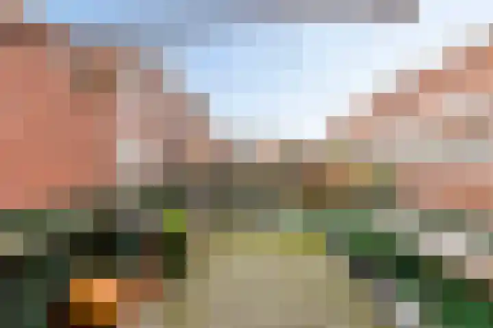 Meidoornstraat 5 's-Hertogenbosch thumbnail 4