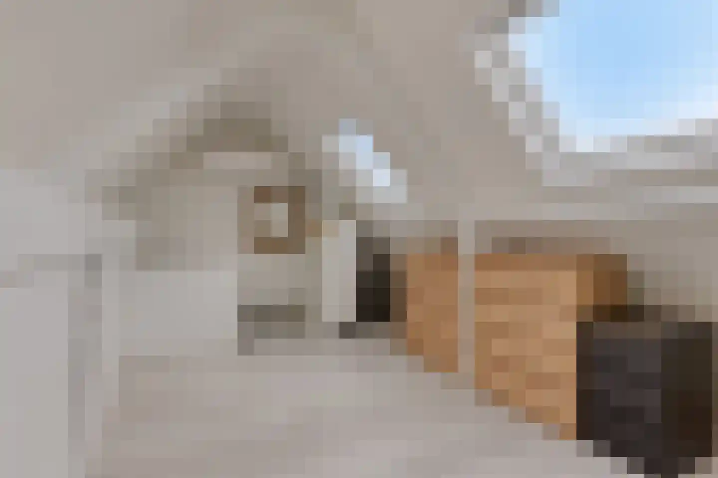Meidoornstraat 5 Someren thumbnail 26