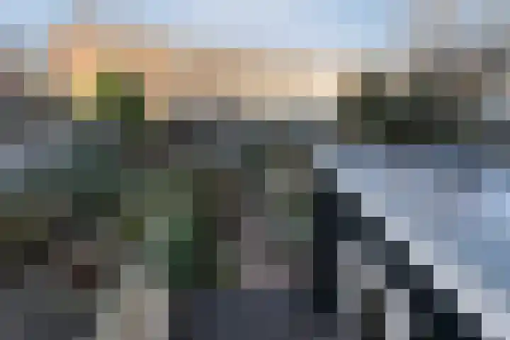 Meidoornstraat 5 Zaandam thumbnail 30