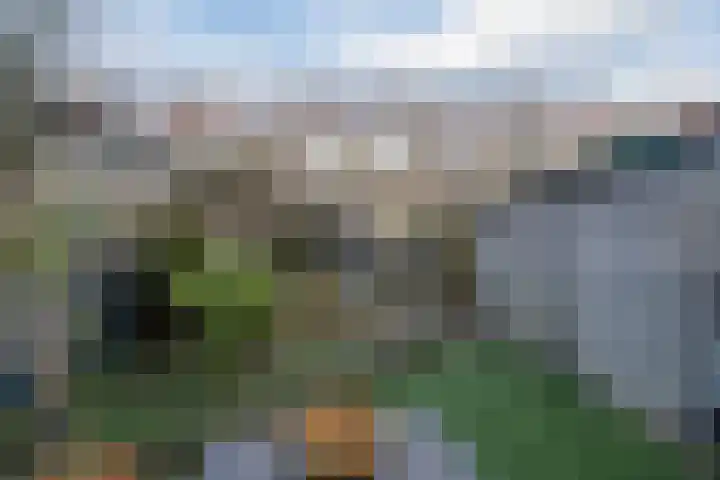 Meidoornstraat 5 Zaandam thumbnail 31