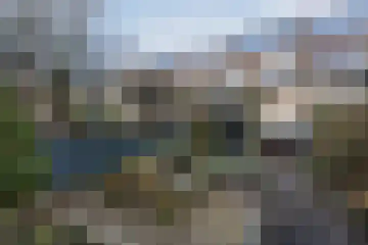 Meidoornstraat 5 Zaandam thumbnail 32