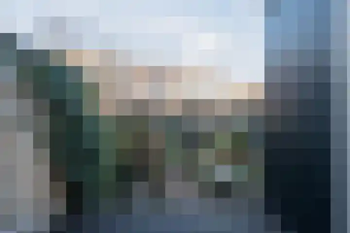 Meidoornstraat 5 Zaandam thumbnail 33