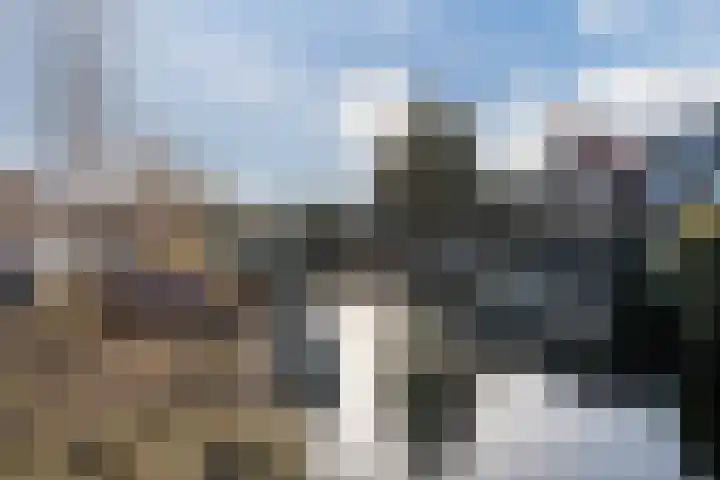 Meidoornstraat 5 Zaandam thumbnail 38