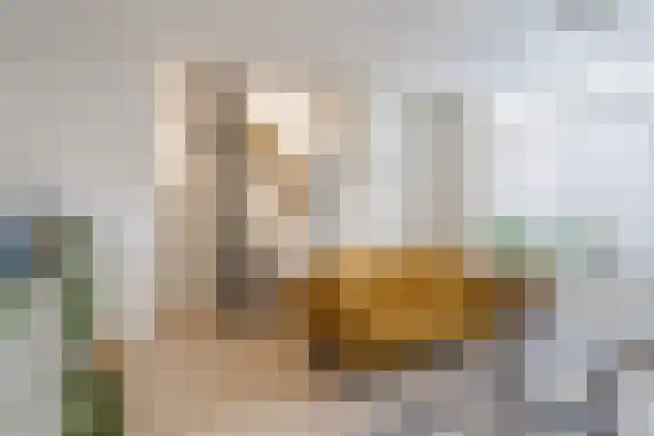 Meidoornstraat 5 Zaandam thumbnail 8