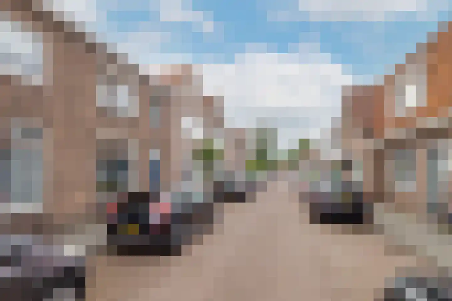 Meidoornstraat 5 Zwolle thumbnail 44