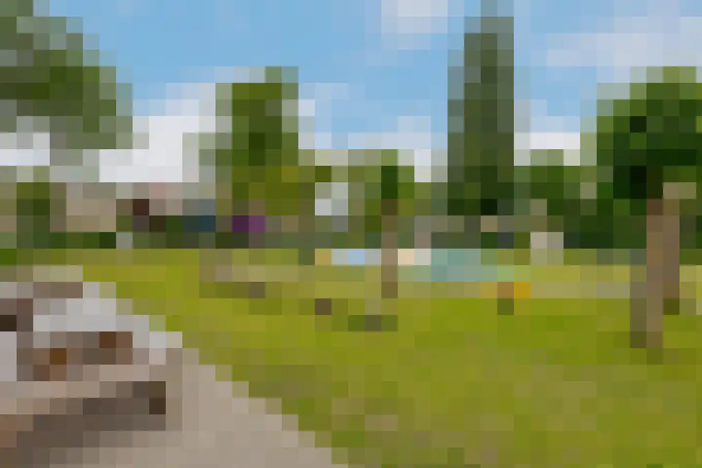 Meidoornstraat 5 Zwolle thumbnail 47
