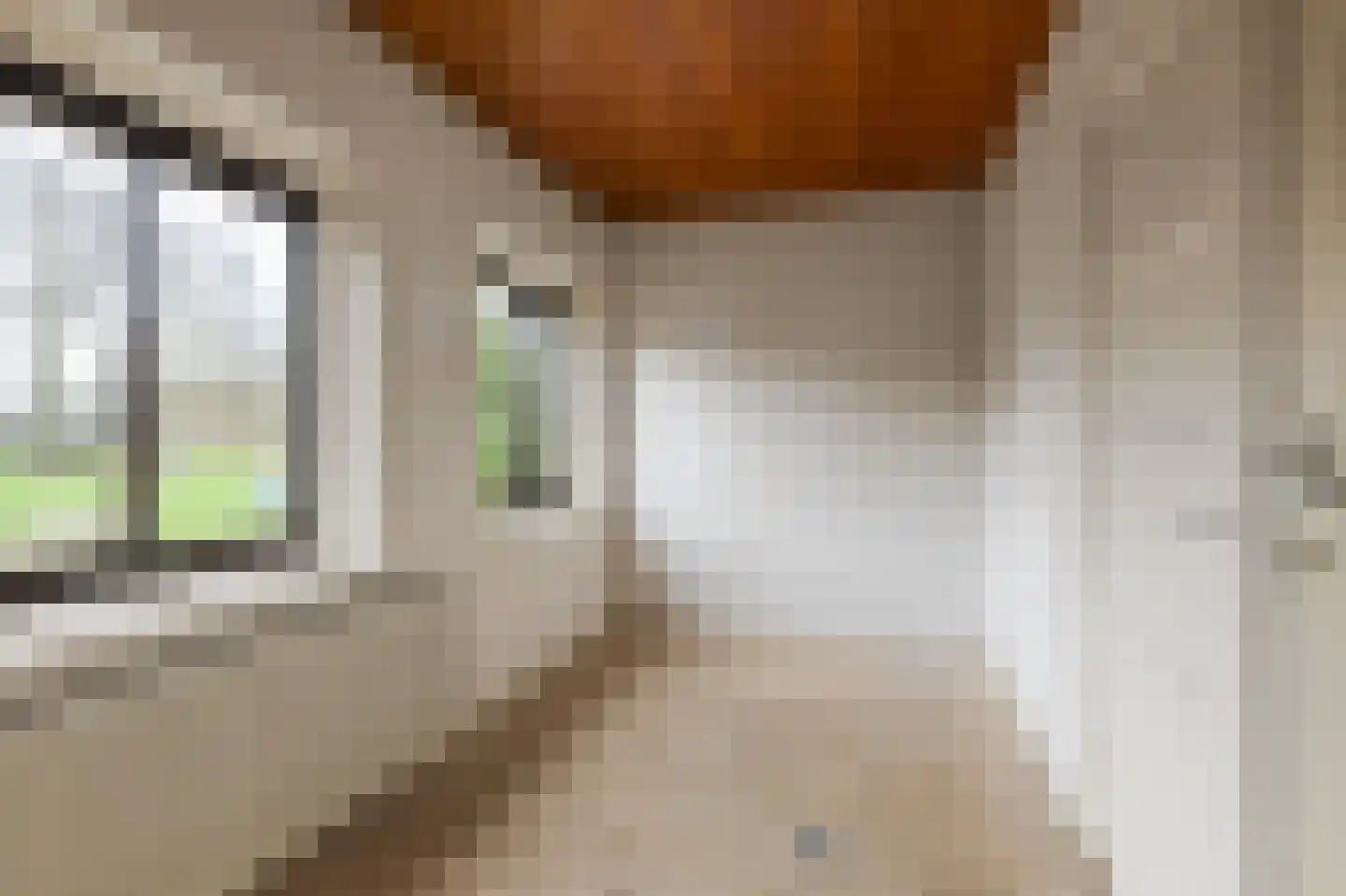 Meidoornstraat 53 Waddinxveen thumbnail 14