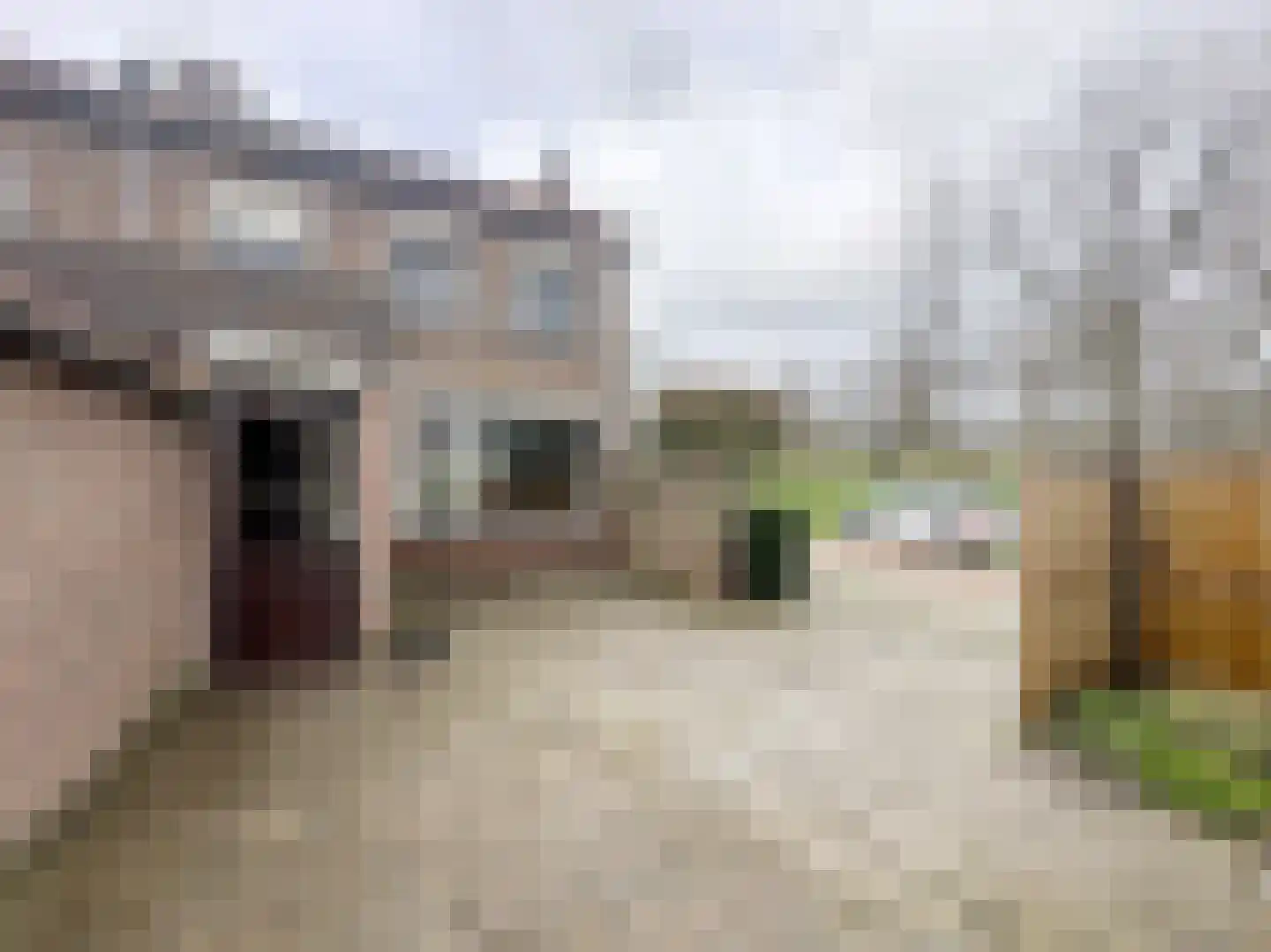 Meidoornstraat 53 Waddinxveen thumbnail 20
