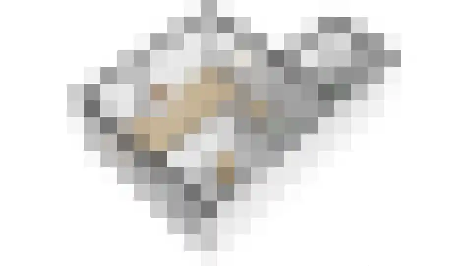 Meidoornstraat 53 Waddinxveen thumbnail 33