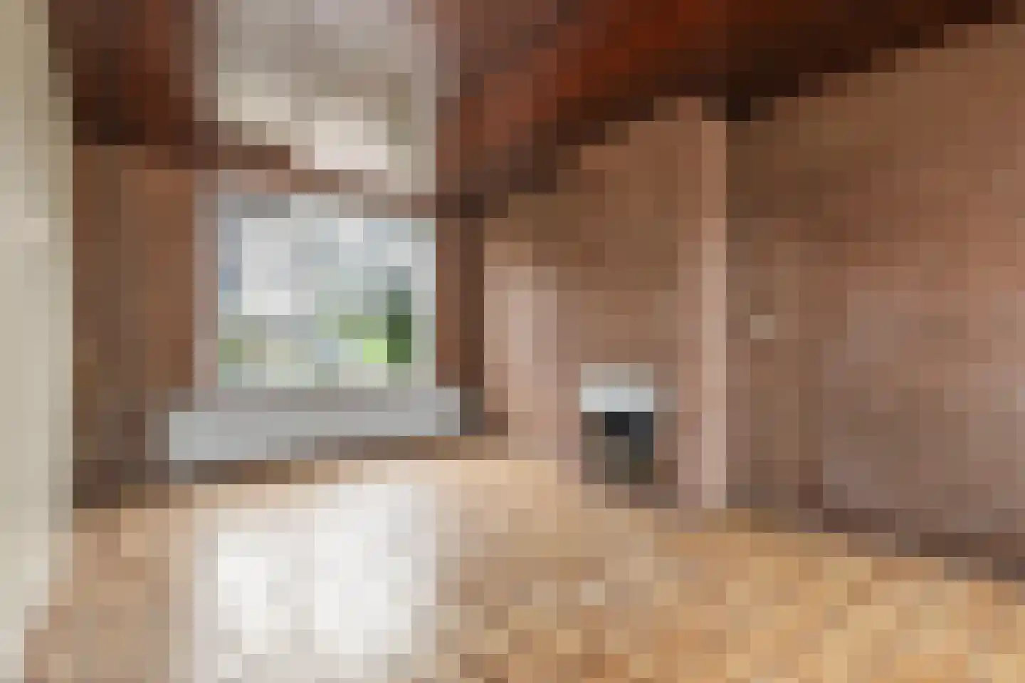 Meidoornstraat 53 Waddinxveen thumbnail 5