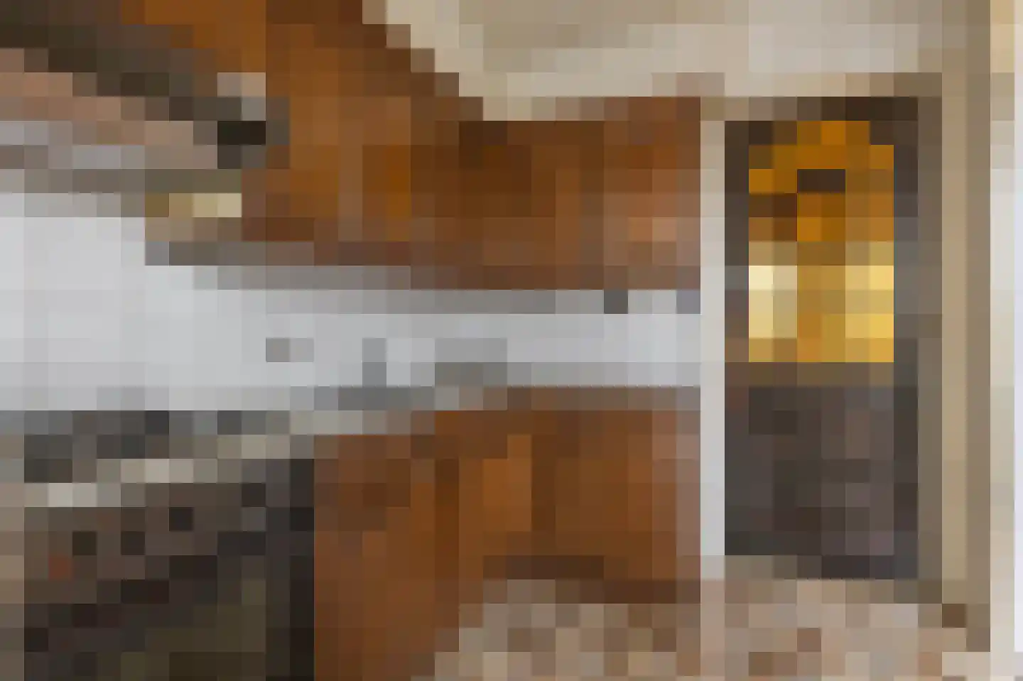 Meidoornstraat 53 Waddinxveen thumbnail 9