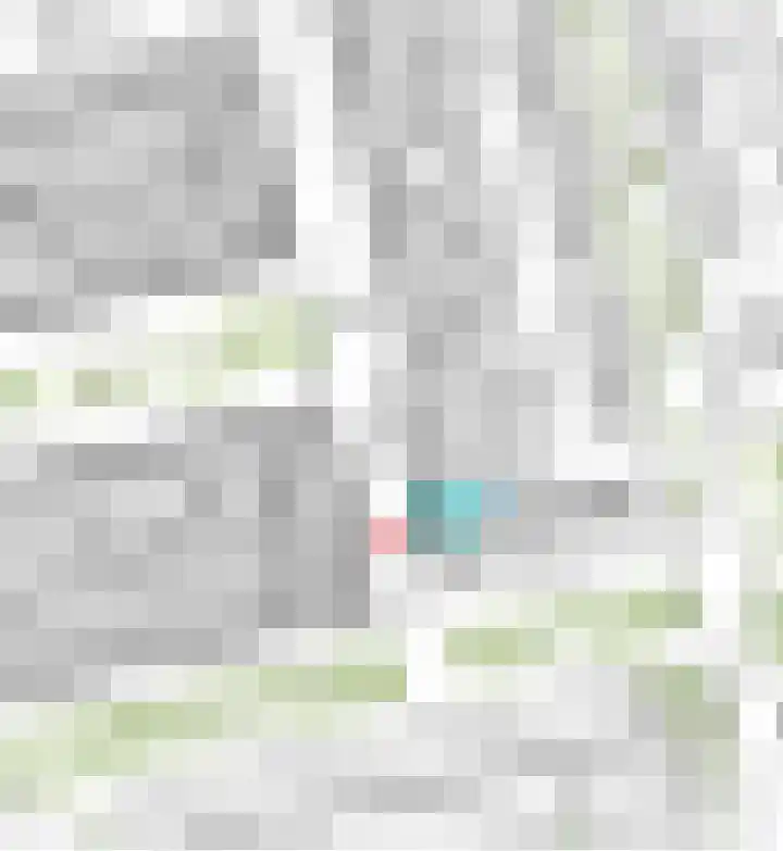 Meidoornstraat 53 Zwolle thumbnail 32