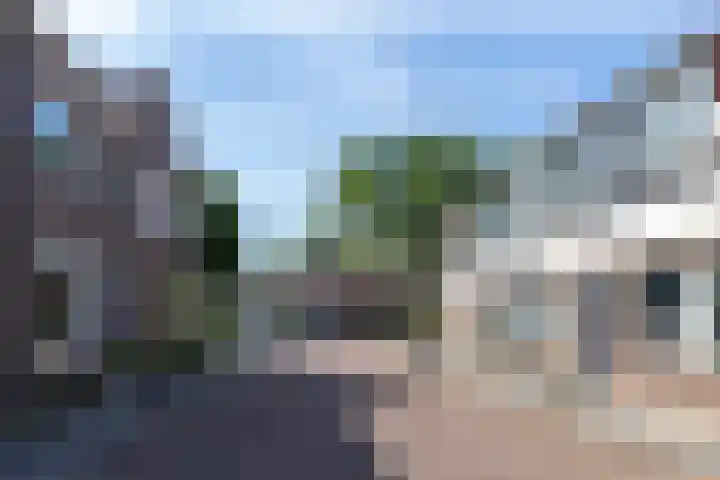 Meidoornstraat 53 Zwolle thumbnail 5