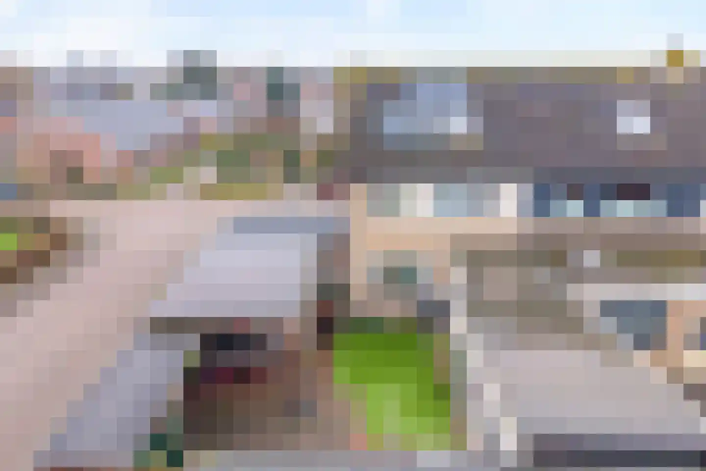 Meidoornstraat 54 Lutten thumbnail 48