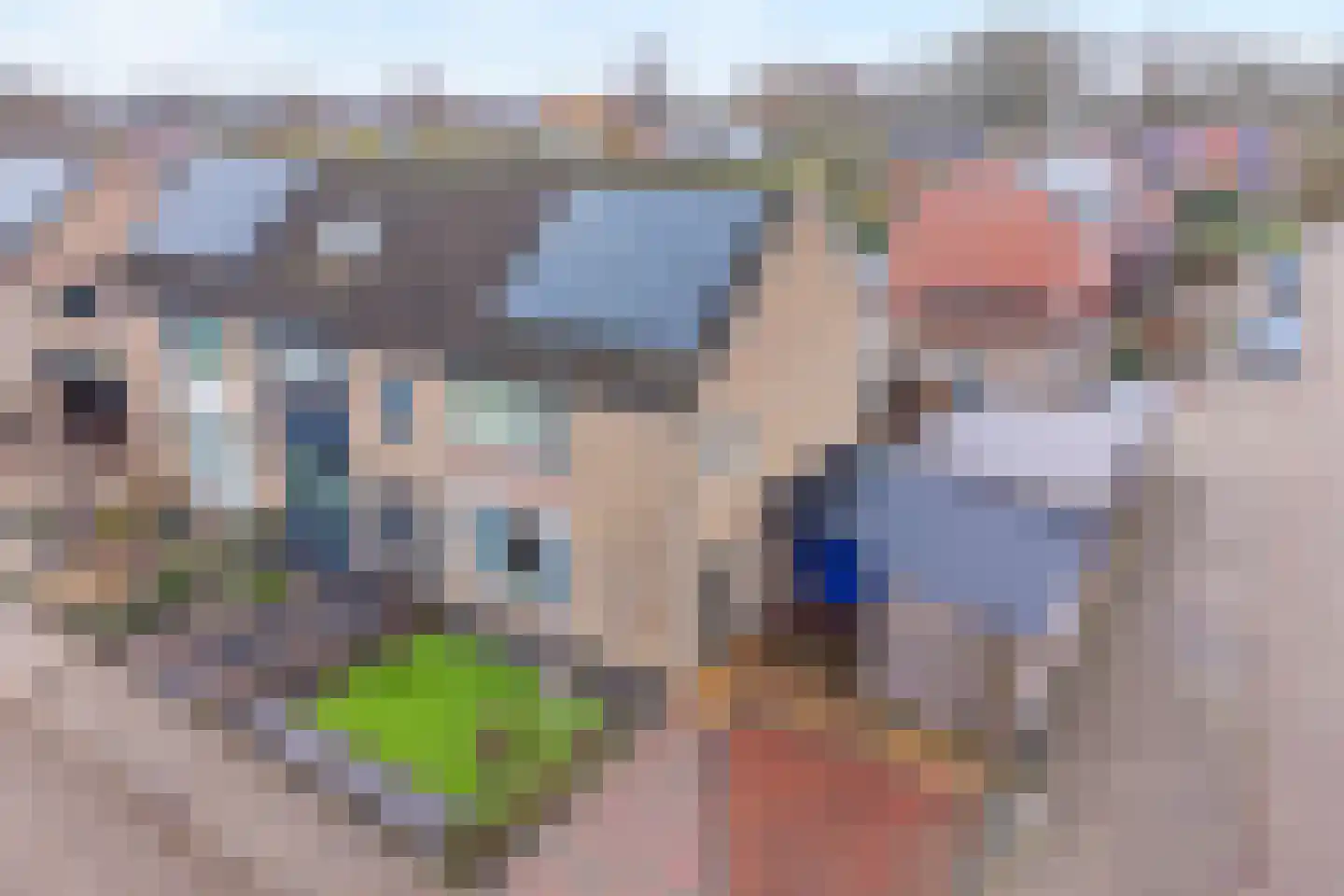 Meidoornstraat 54 Lutten thumbnail 5