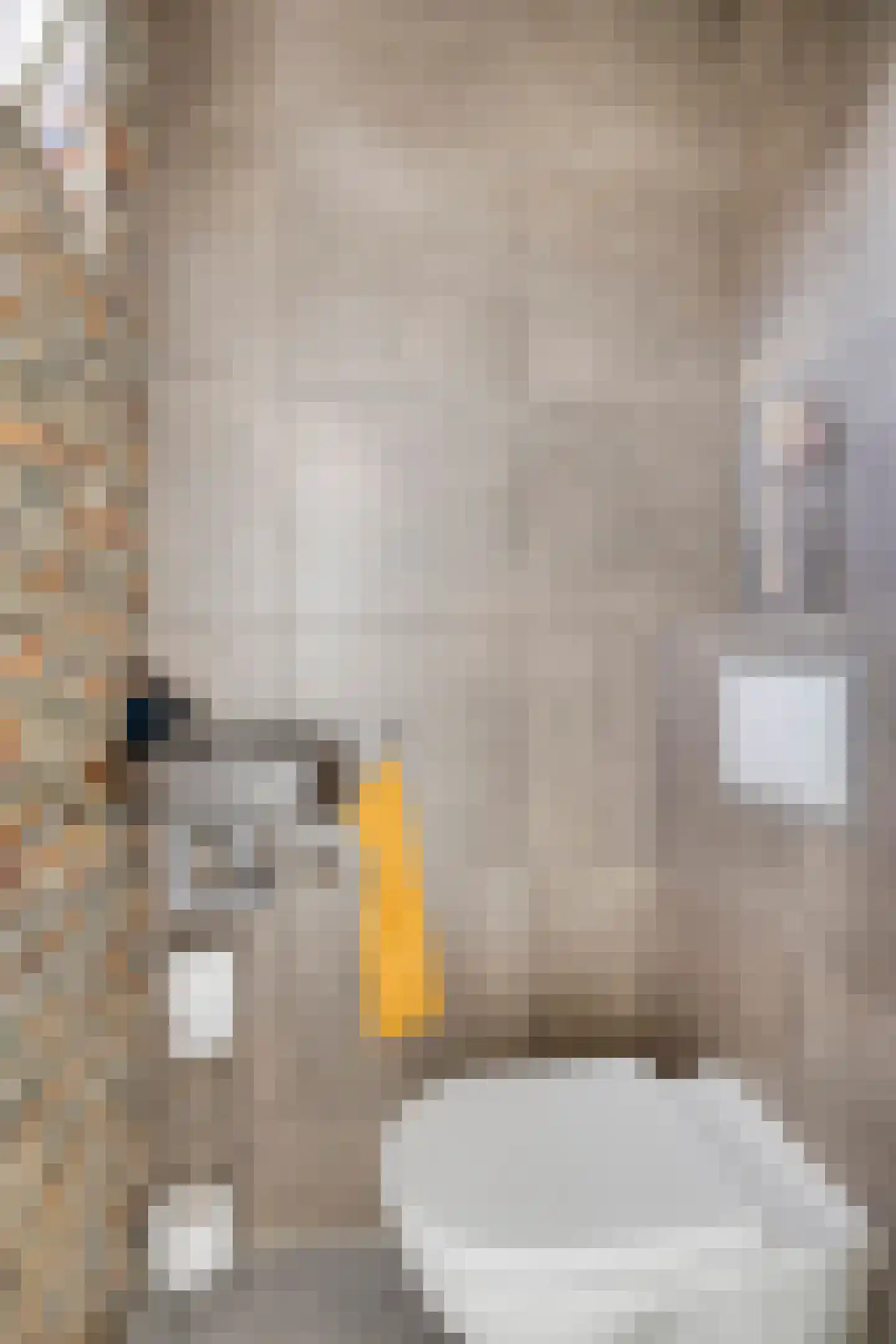 Meidoornstraat 6 Aalten thumbnail 13