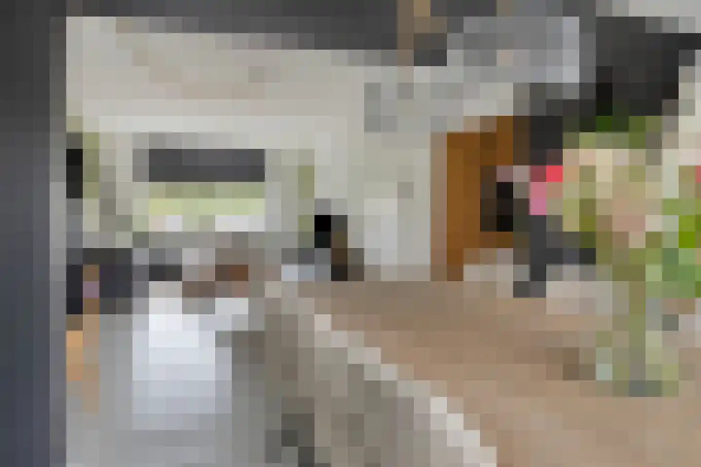 Meidoornstraat 6 Aalten thumbnail 5