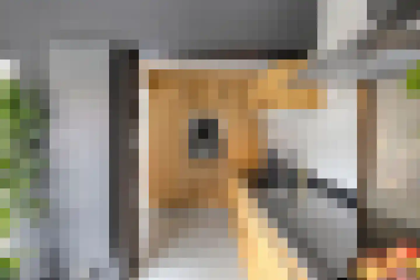 Meidoornstraat 6 Aalten thumbnail 9