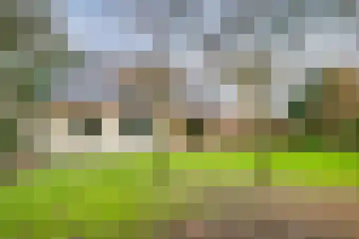 Meidoornstraat 6 Maarheeze thumbnail 39