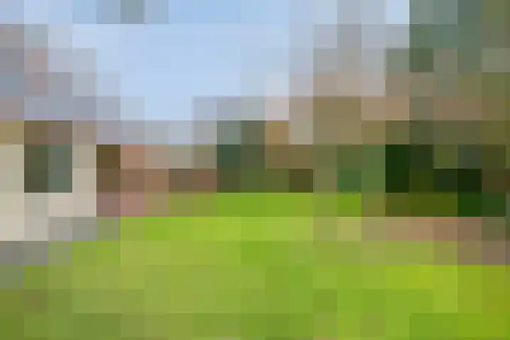 Meidoornstraat 6 Maarheeze thumbnail 40