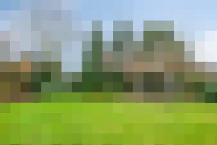 Meidoornstraat 6 Maarheeze thumbnail 41