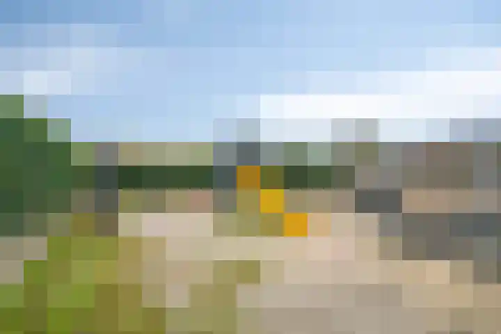 Meidoornstraat 6 Maarheeze thumbnail 50