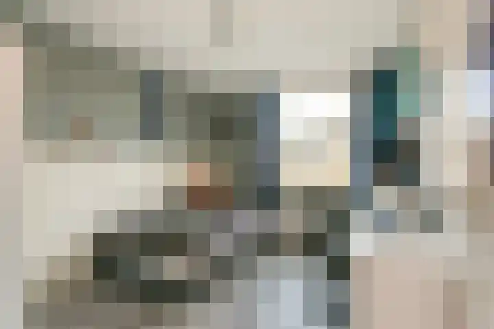 Meidoornstraat 6 Nieuwegein thumbnail 19