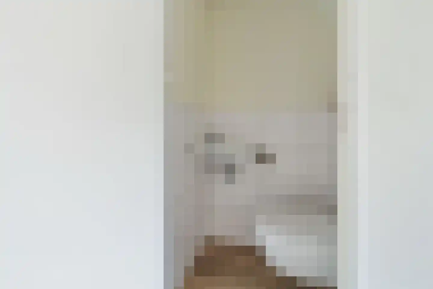 Meidoornstraat 63 's-Gravenzande thumbnail 10