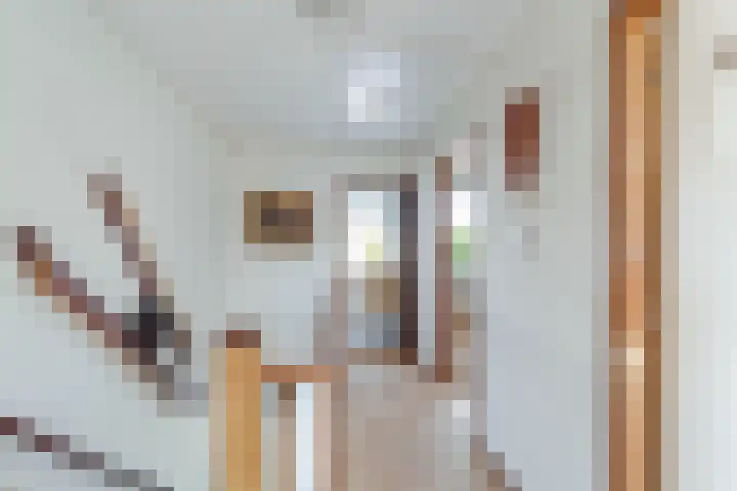 Meidoornstraat 63 's-Gravenzande thumbnail 13