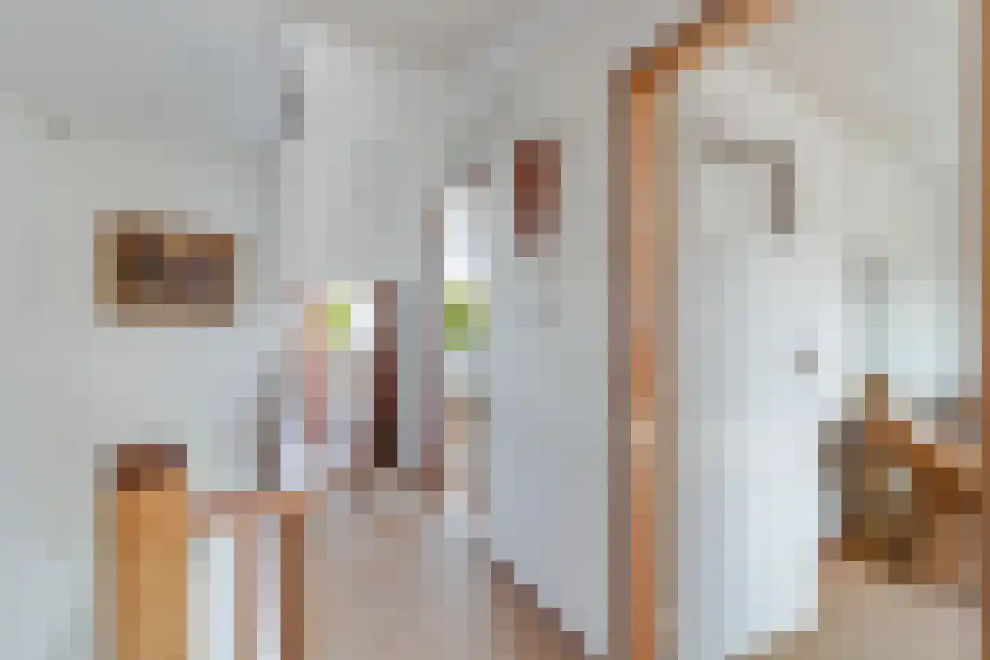 Meidoornstraat 63 's-Gravenzande thumbnail 15