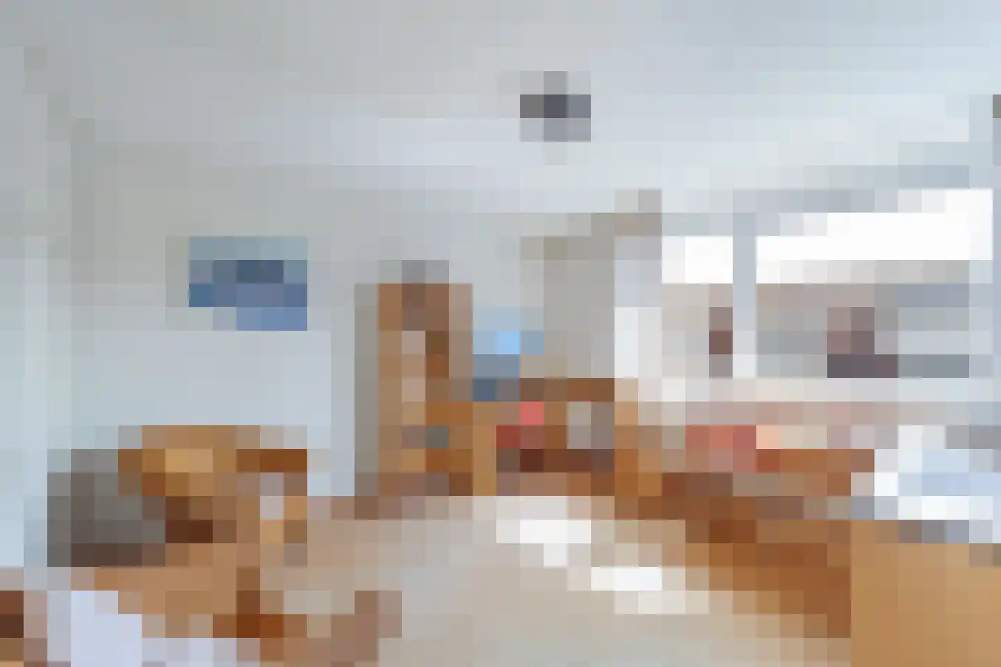 Meidoornstraat 63 's-Gravenzande thumbnail 17