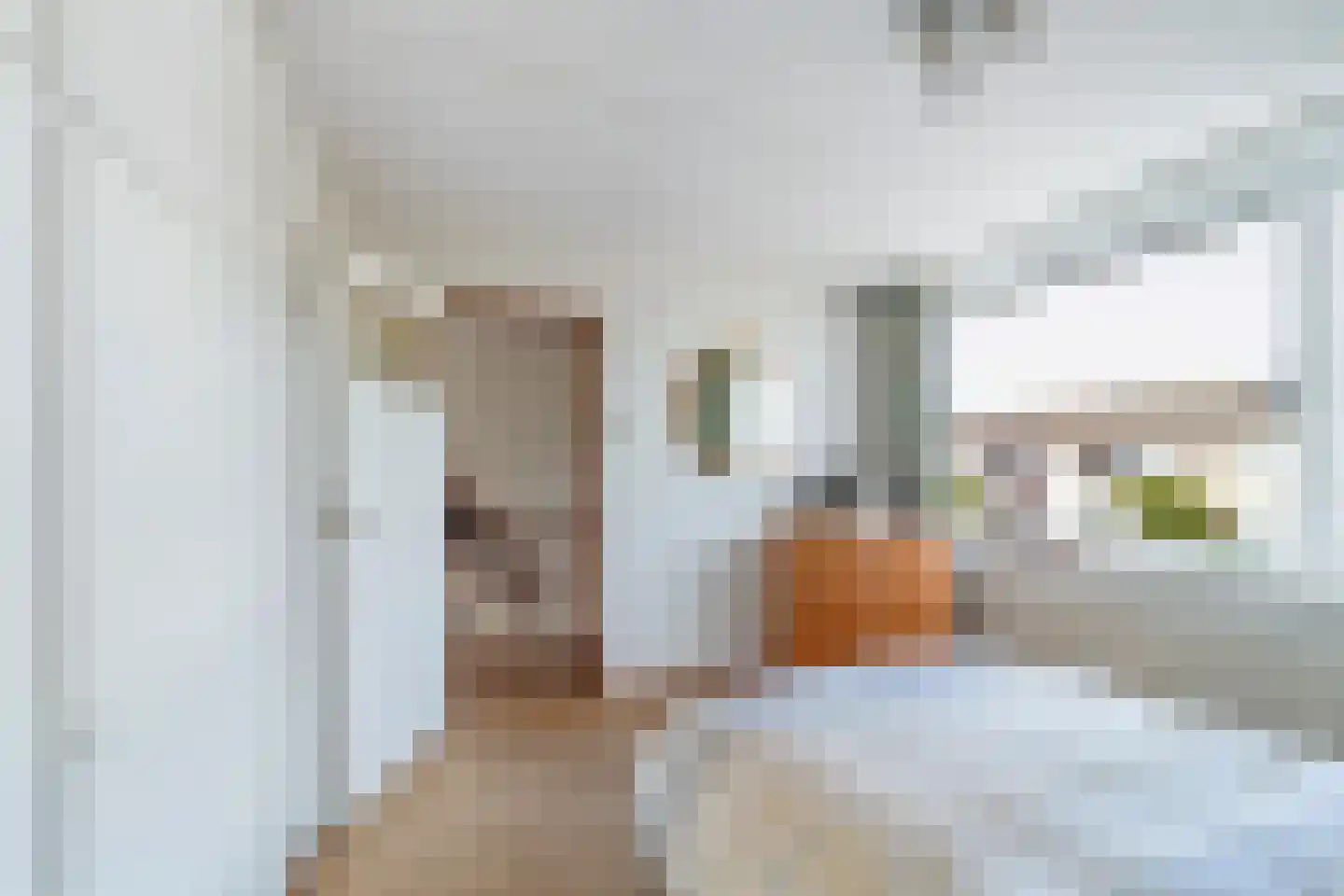 Meidoornstraat 63 's-Gravenzande thumbnail 19