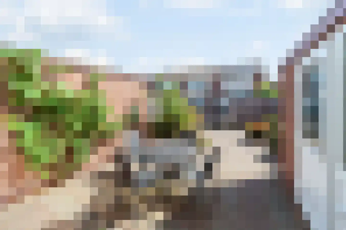 Meidoornstraat 63 's-Gravenzande thumbnail 27