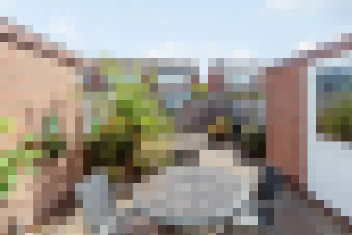 Meidoornstraat 63 's-Gravenzande thumbnail 28