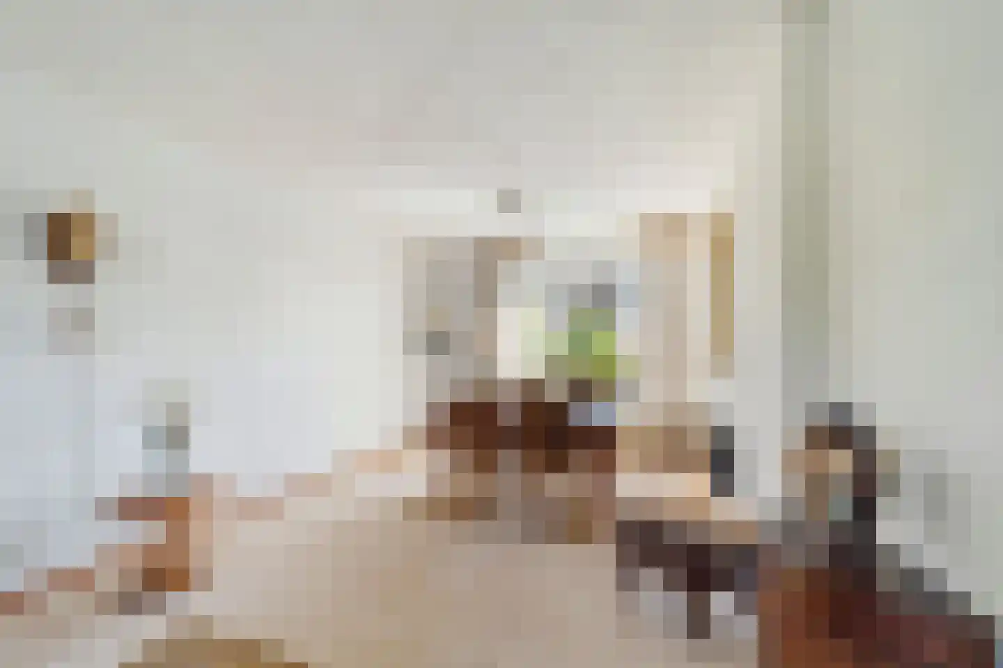 Meidoornstraat 63 's-Gravenzande thumbnail 4