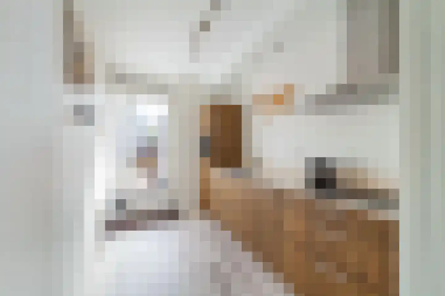 Meidoornstraat 63 's-Gravenzande thumbnail 8