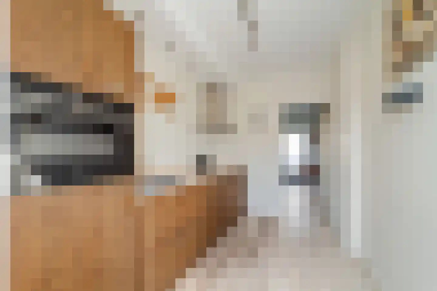 Meidoornstraat 63 's-Gravenzande thumbnail 9