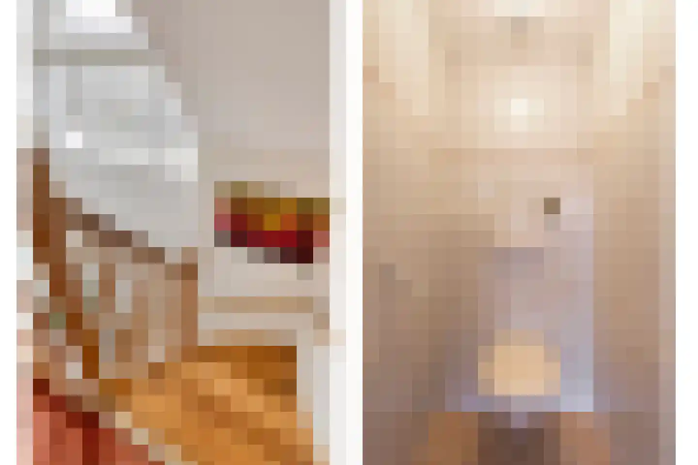 Meidoornstraat 7 Bergen L thumbnail 21