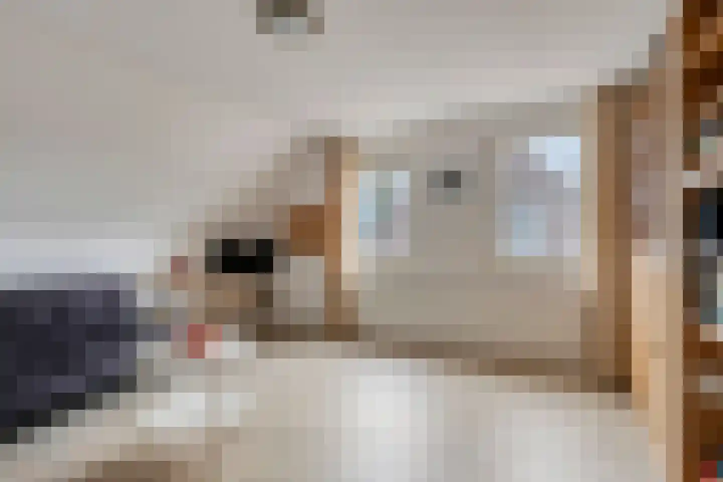 Meidoornstraat 7 Bergen L thumbnail 24