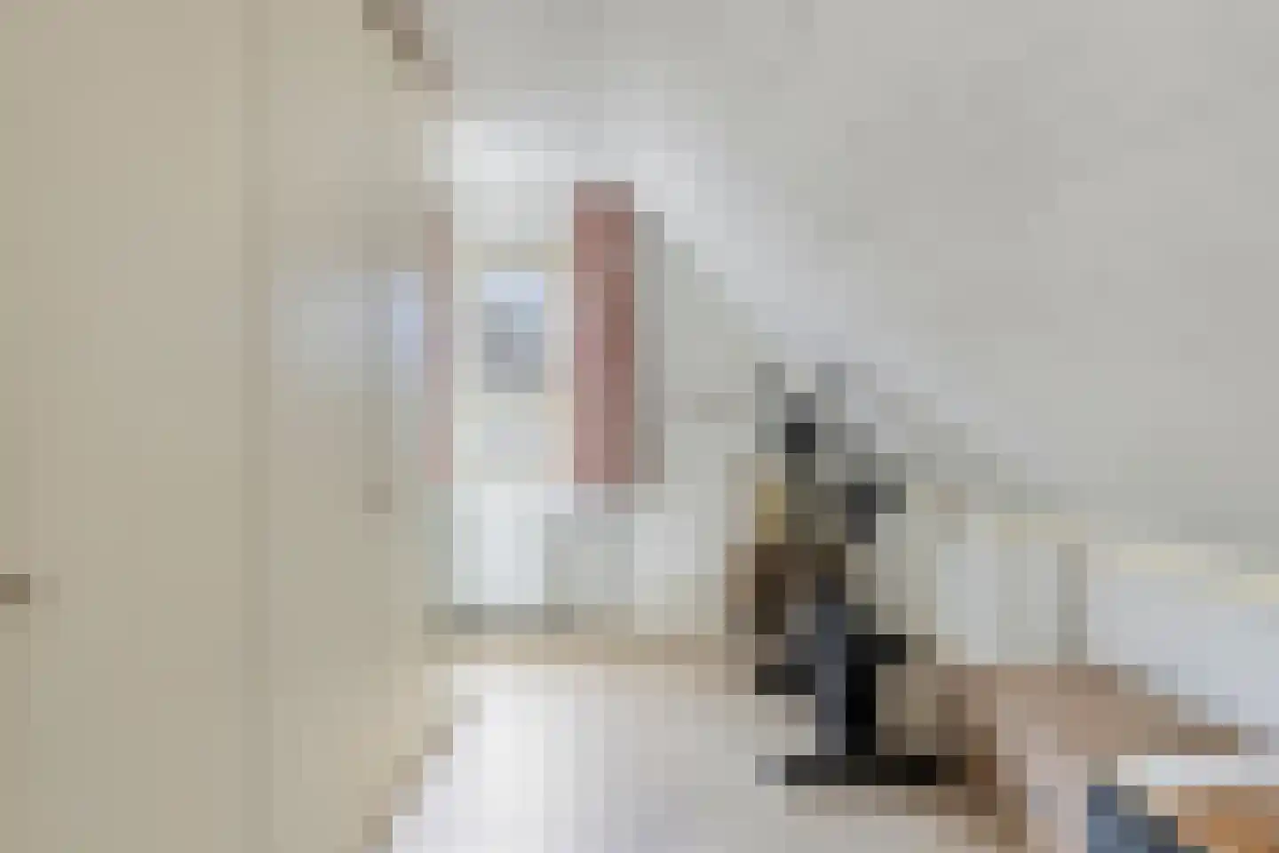 Meidoornstraat 7 Bergen L thumbnail 27