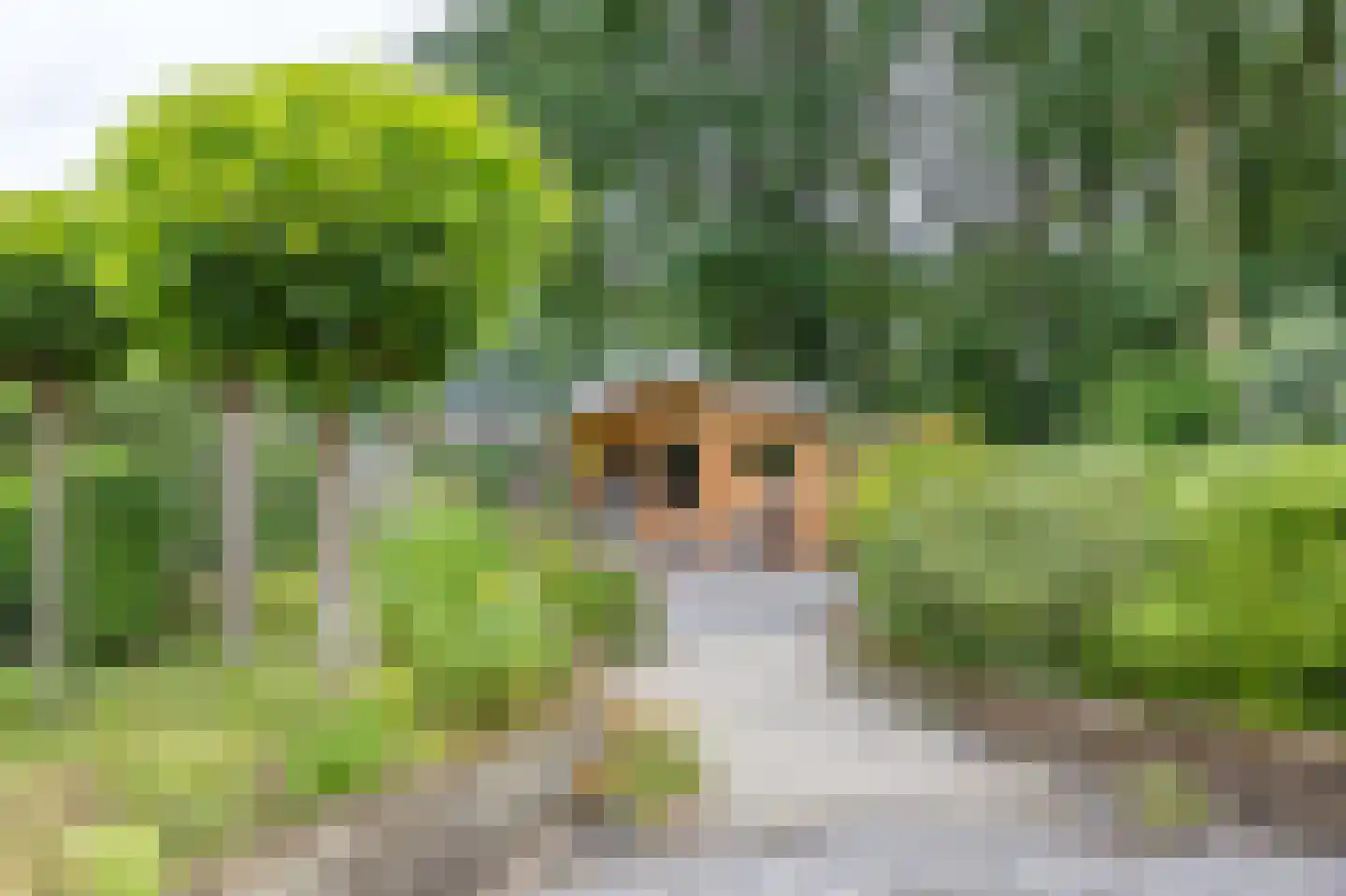 Meidoornstraat 7 Bergen L thumbnail 33