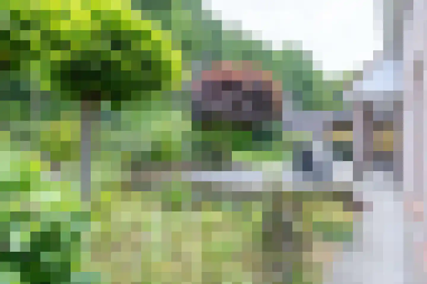 Meidoornstraat 7 Bergen L thumbnail 35