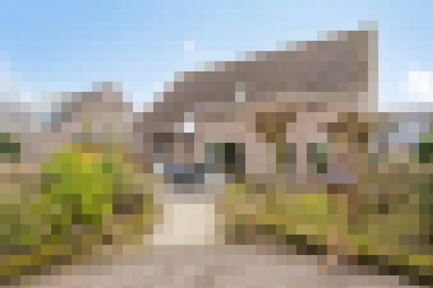 Meidoornstraat 7 Bergen L thumbnail 36