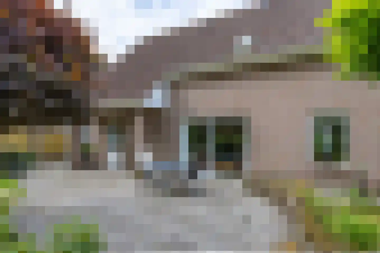 Meidoornstraat 7 Bergen L thumbnail 36