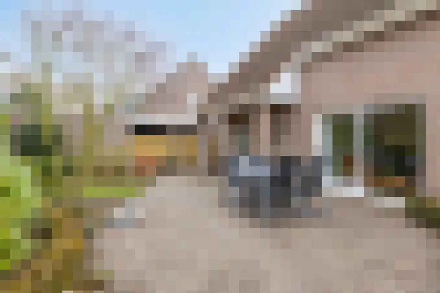 Meidoornstraat 7 Bergen L thumbnail 37