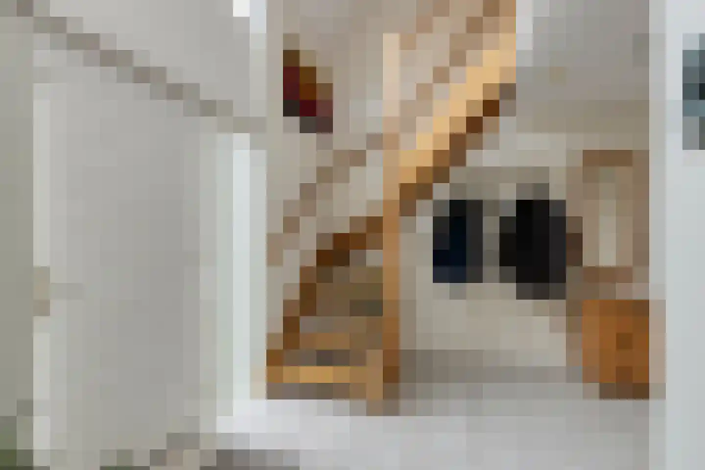Meidoornstraat 7 Bergen L thumbnail 5