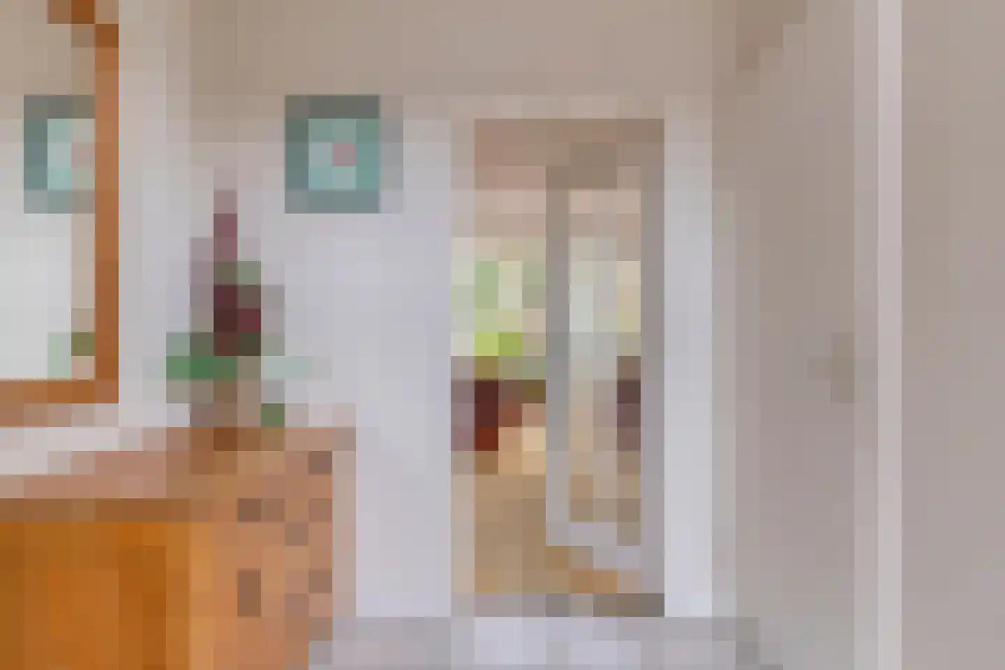 Meidoornstraat 7 Bergen L thumbnail 6