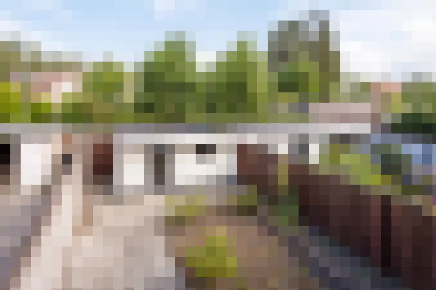Meidoornstraat 7 Best thumbnail 27